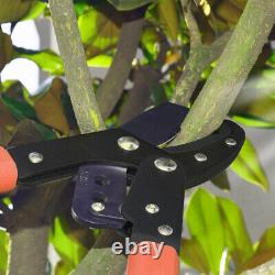 Telescopic Anvil Lopper Garden Pruner Tree Hedge Pruning Hand Tool Gardening